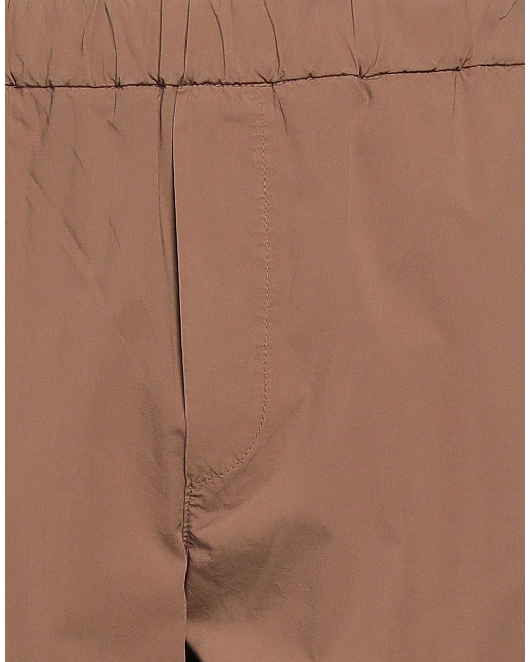 Alpha Studio Brown Trouser for men