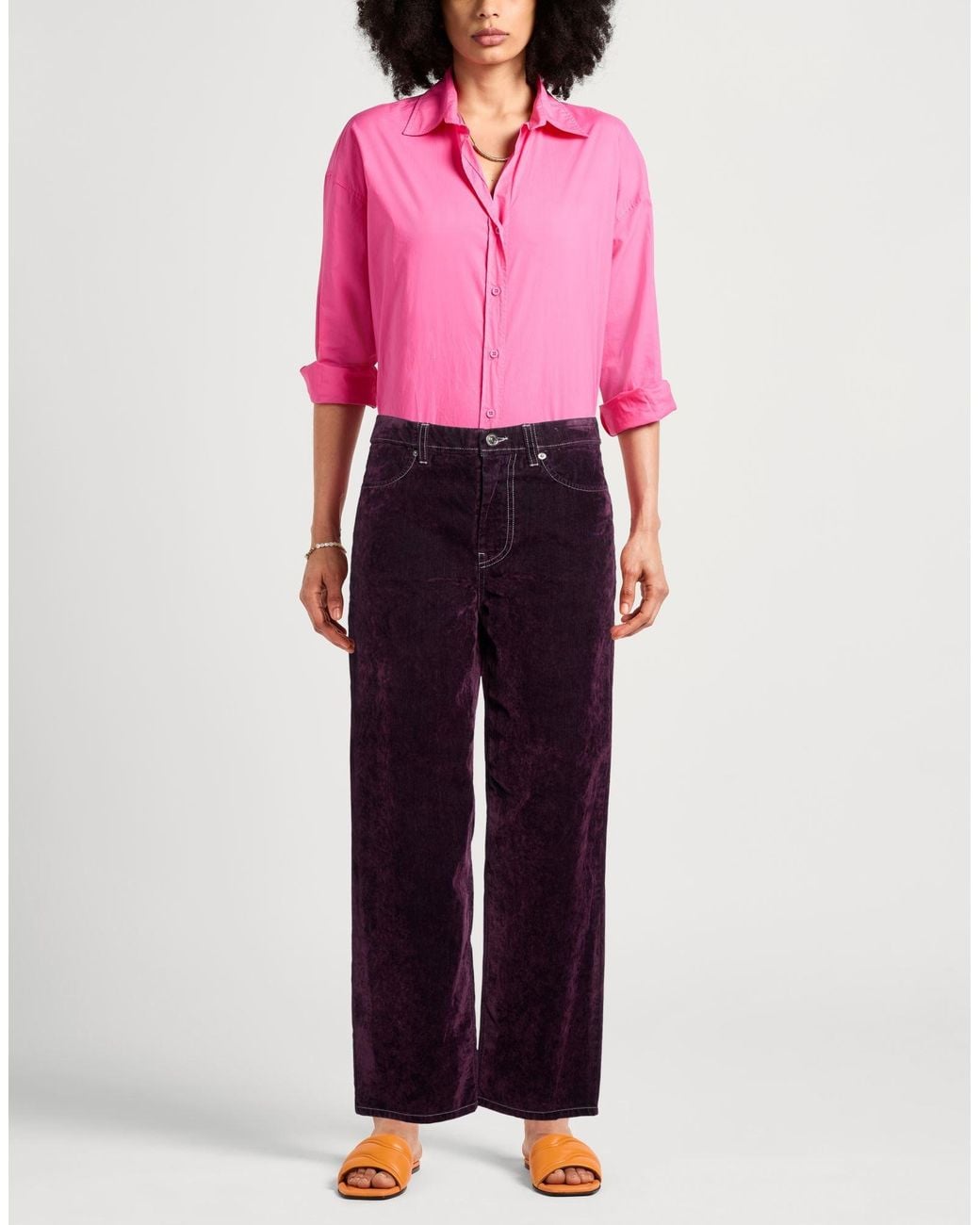 Department 5 Purple Pants Cotton
