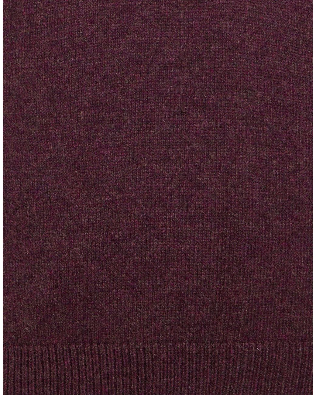 Roda Purple Sweater Wool for men