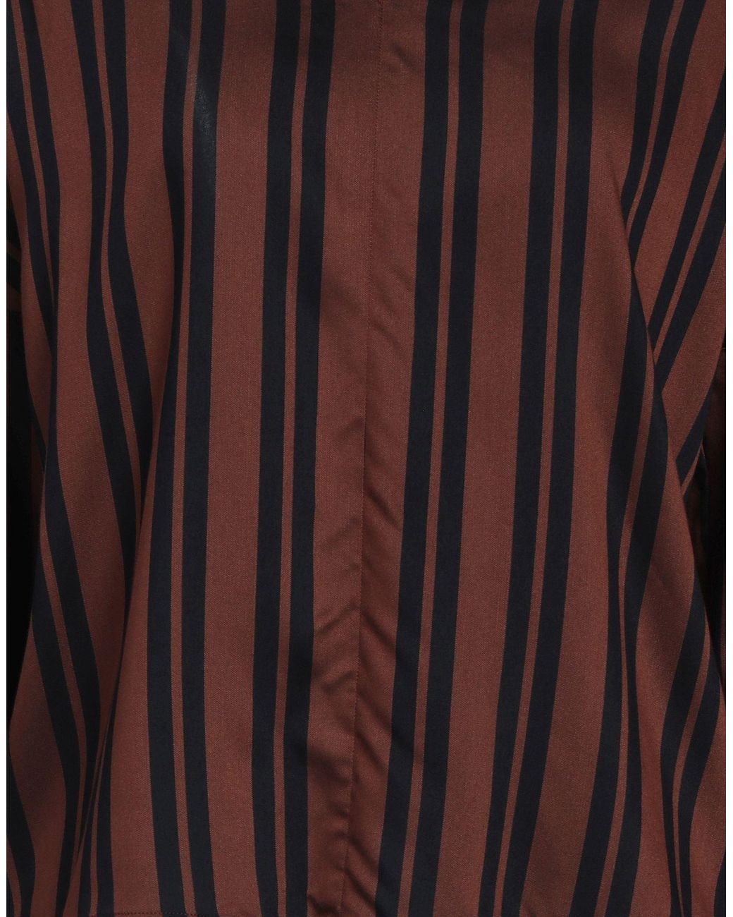Xacus Brown Top