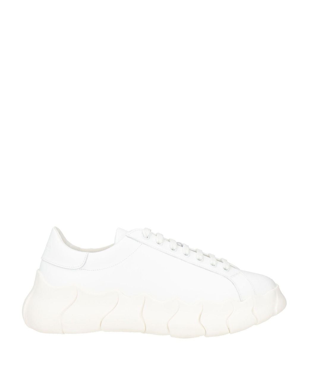 Sneakers Testoni de color White