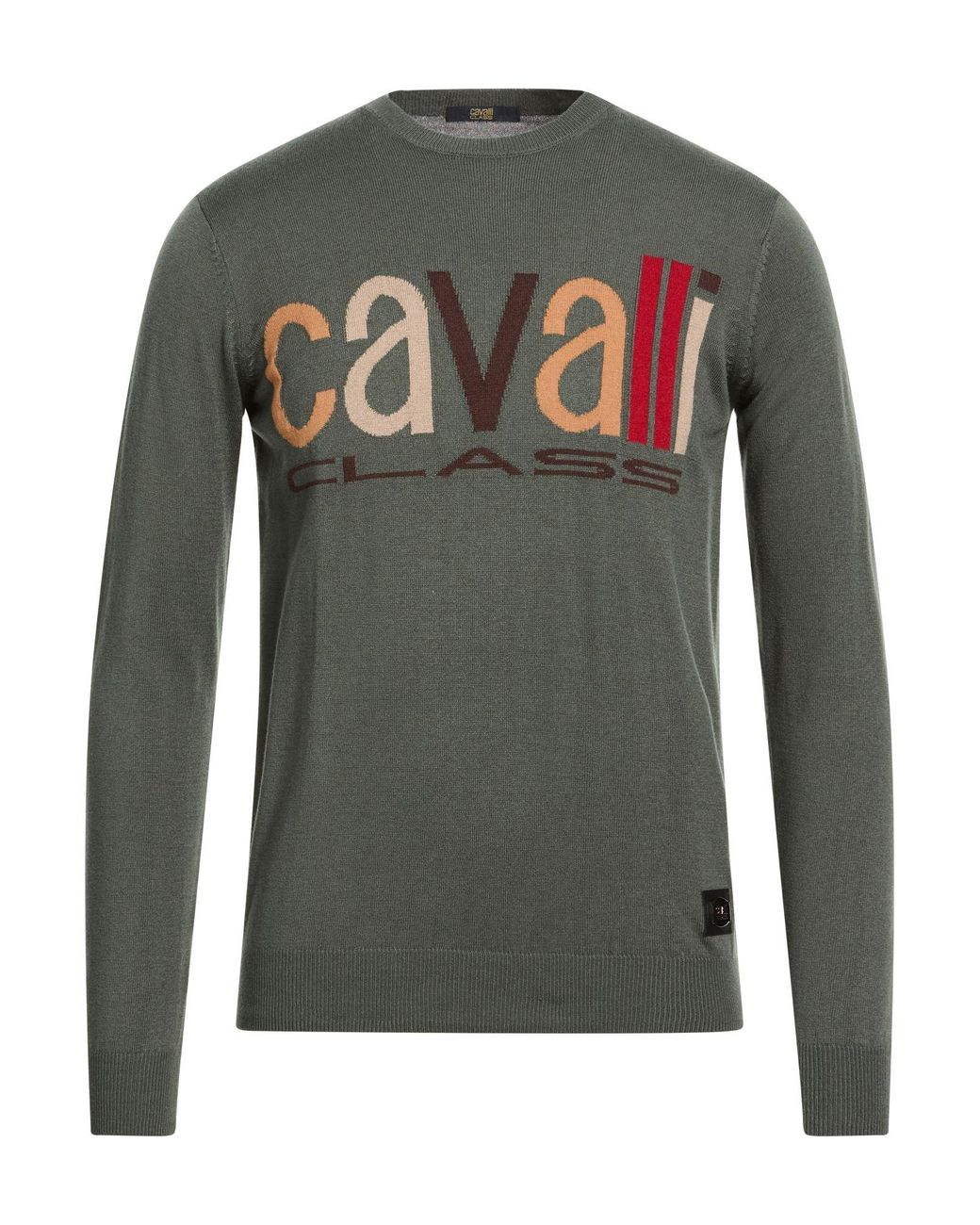 Roberto Cavalli Pullover in Green für Herren