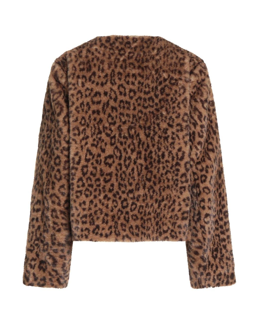 Shearling & Teddy di Maje in Brown