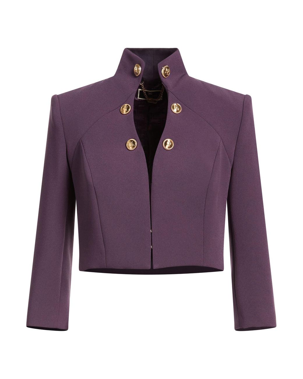 Elisabetta Franchi Purple Jacket