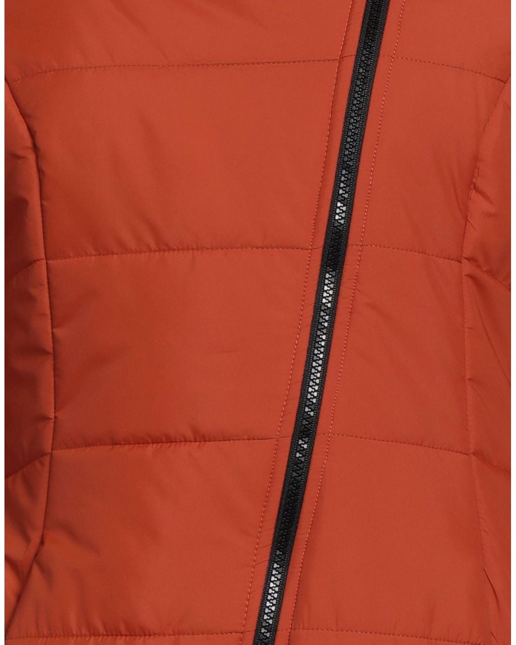 Hanita Red Puffer