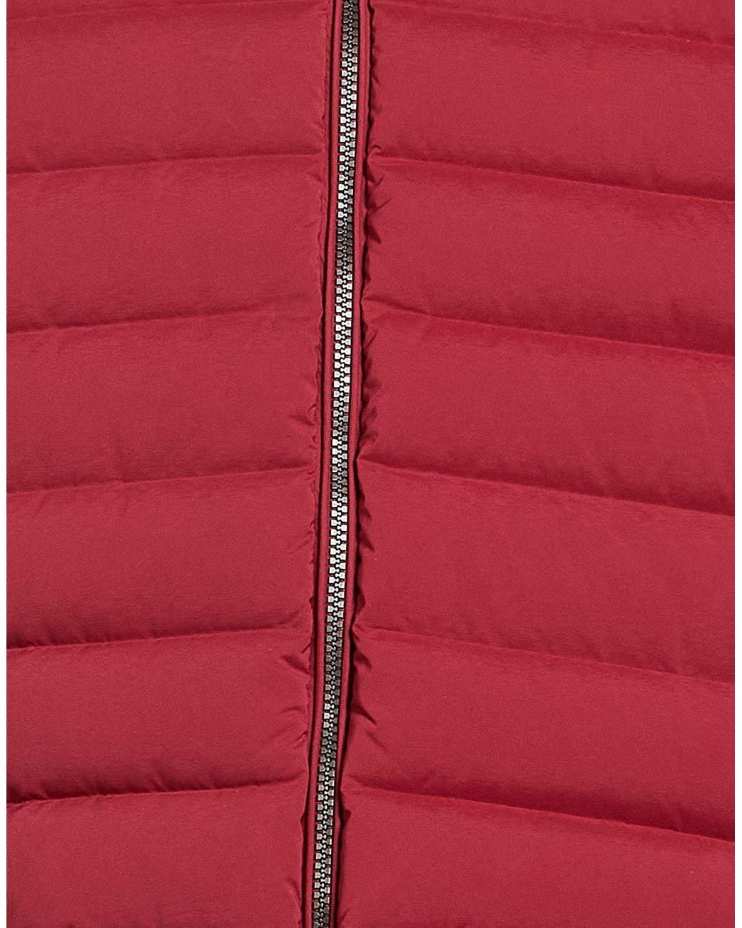 EA7 Red Burgundy Puffer Polyester, Elastane for men