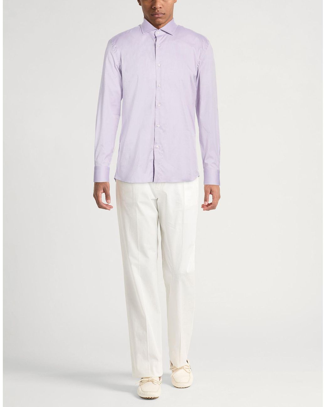 Caruso Purple Shirt Cotton for men