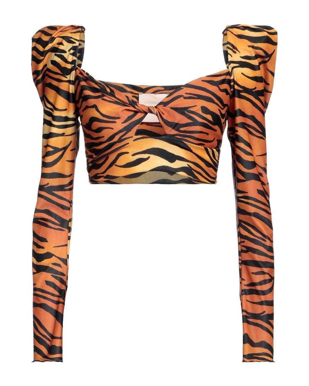 Aniye By Brown Top
