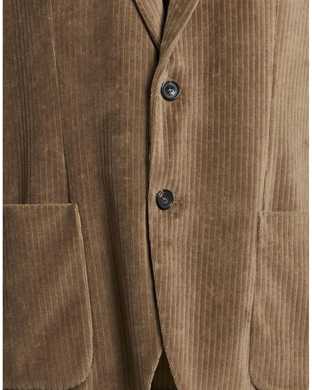 Circolo 1901 Brown Blazer Cotton, Polyester for men
