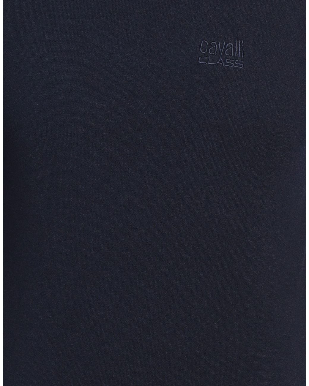 Roberto Cavalli Blue Jumper for men