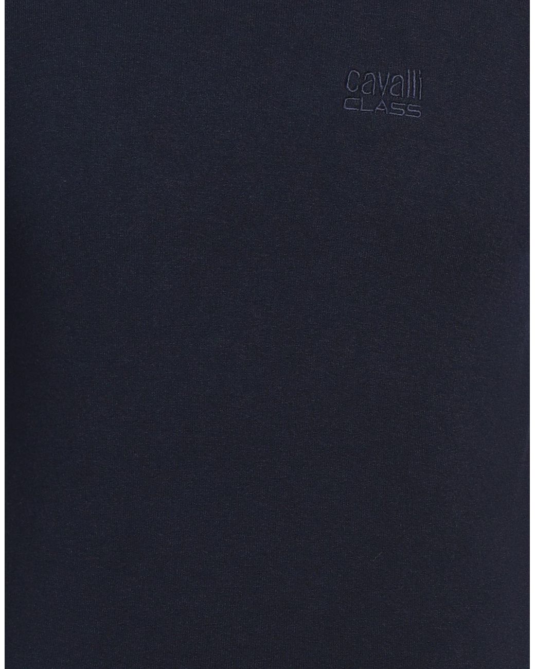 Roberto Cavalli Blue Jumper for men