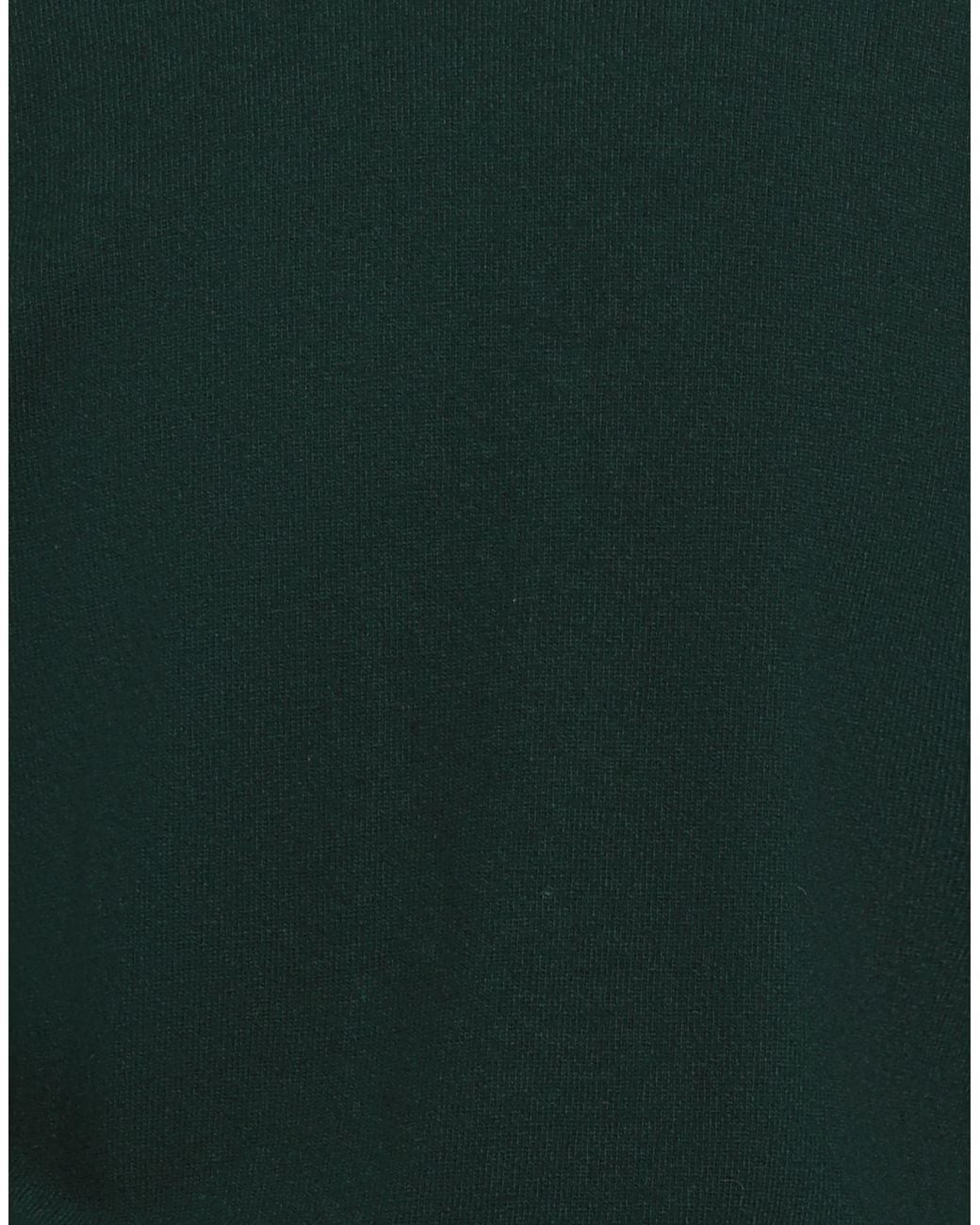 Roy Rogers Green Jumper for men