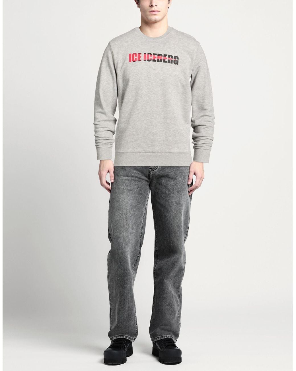 Ice Iceberg Gray Sweatshirt for men