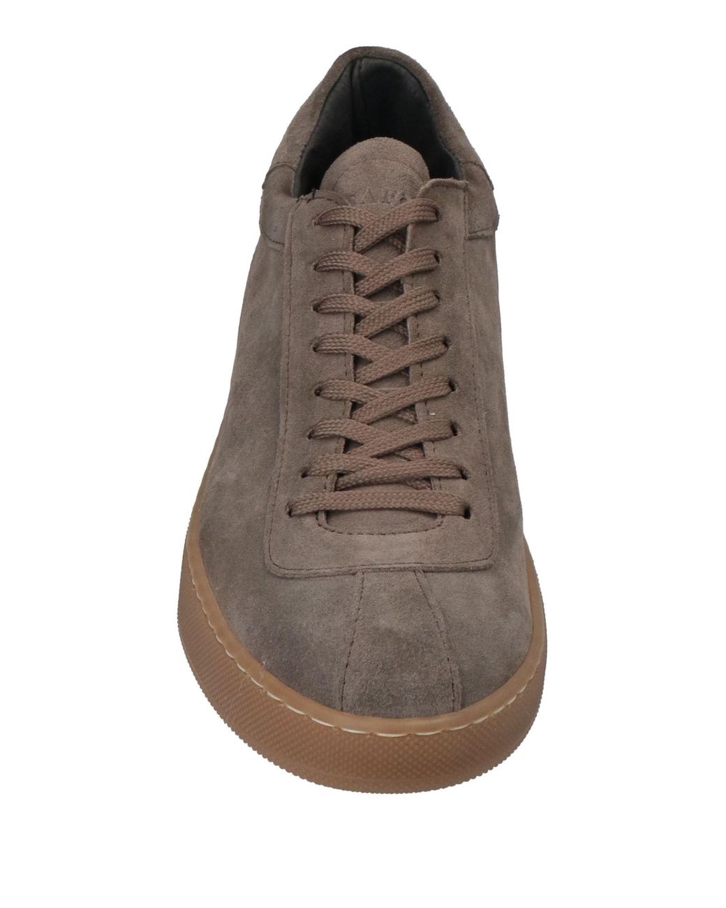 CafeNoir Brown Trainers for men