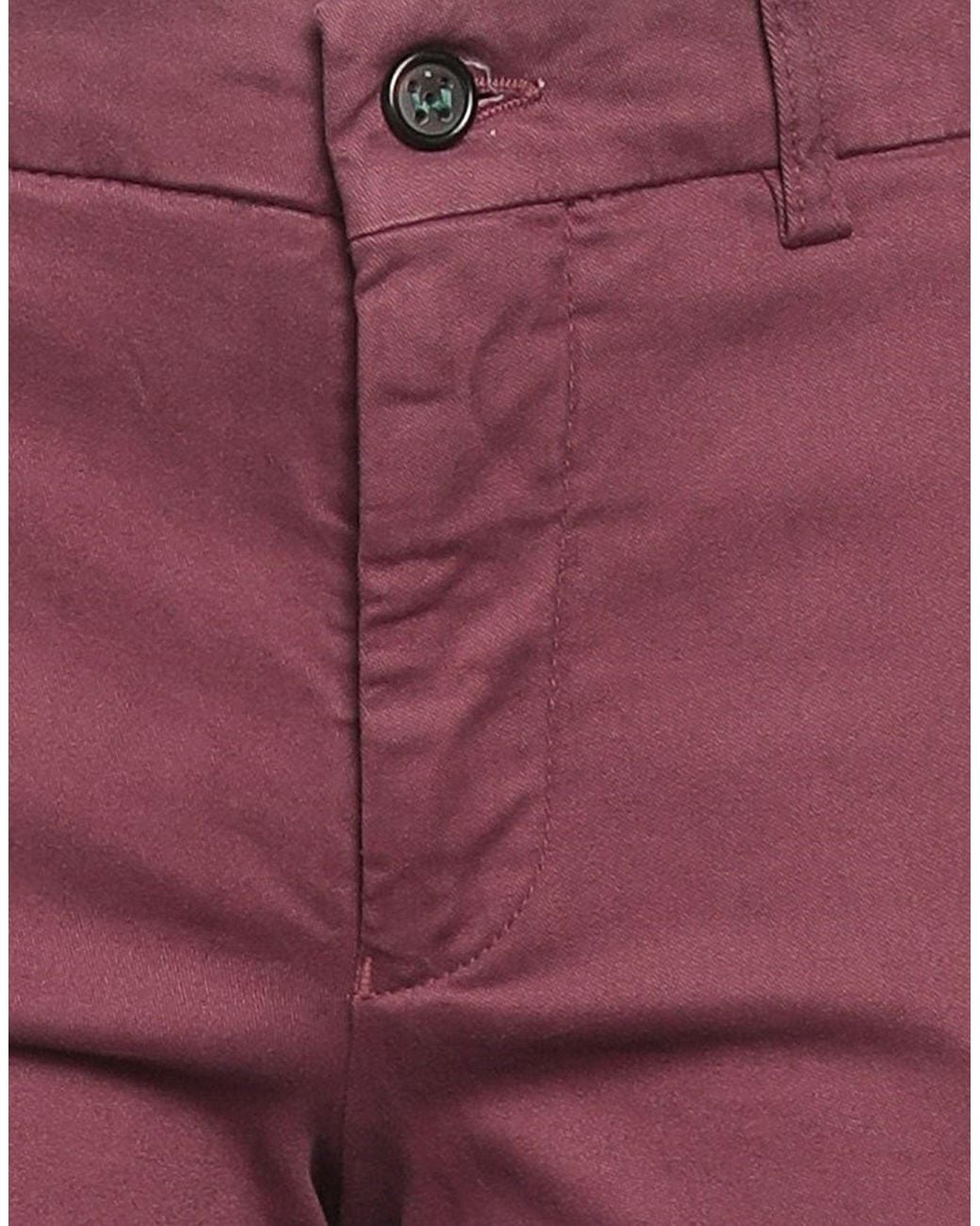 Berwich Purple Trouser