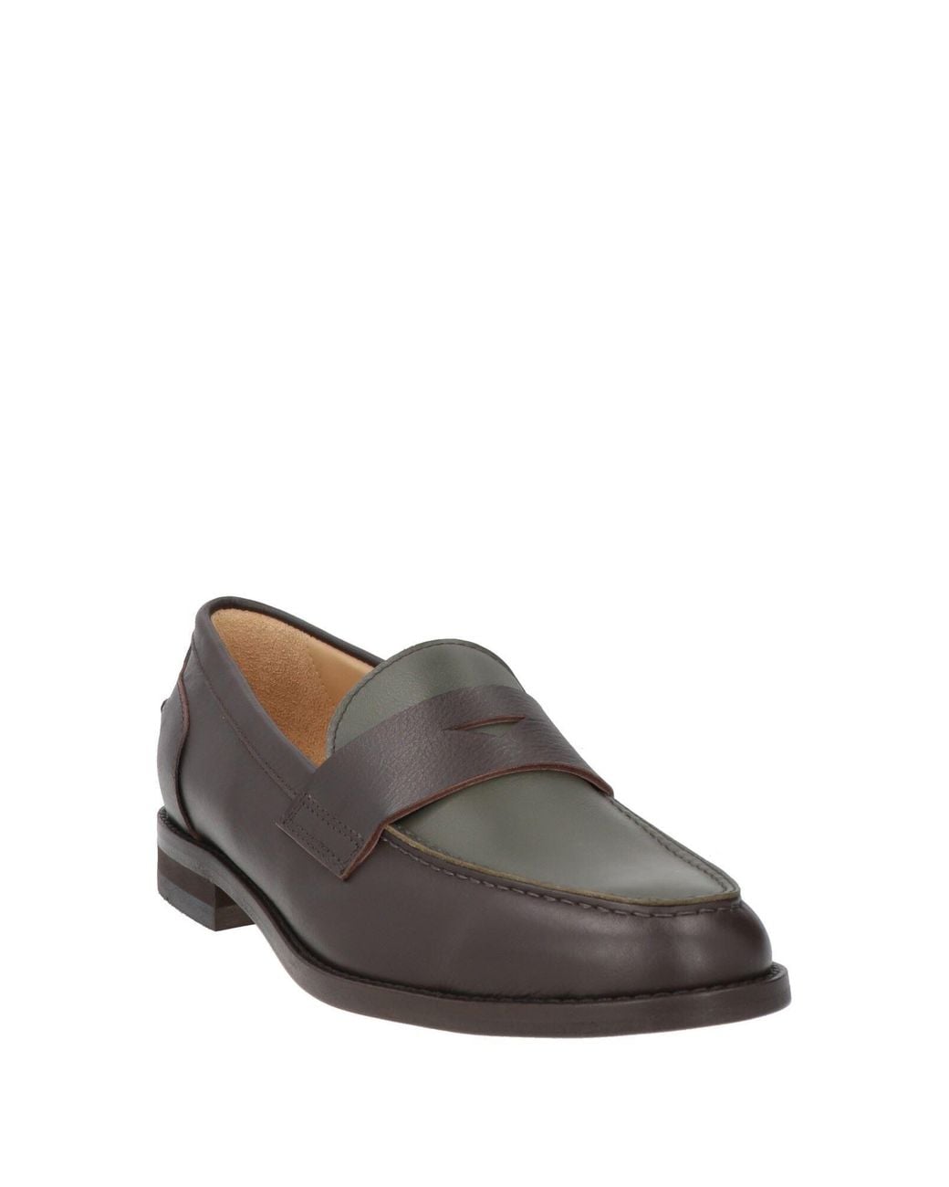 Doucal's Gray Mokassin