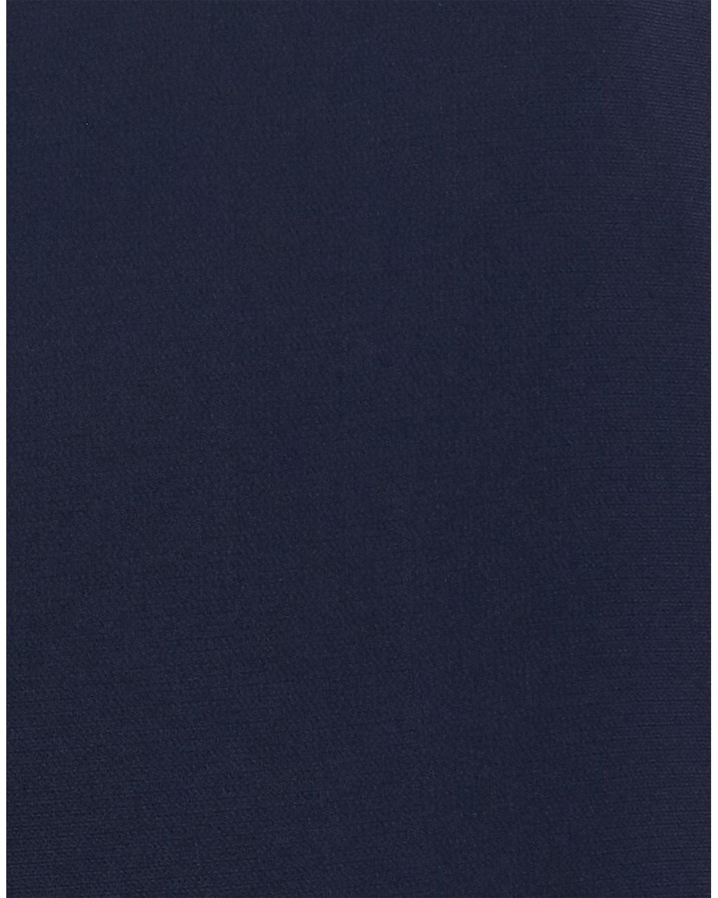 Theory Blue Trouser