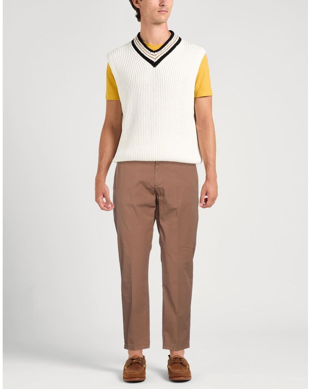 Alpha Studio Brown Trouser for men