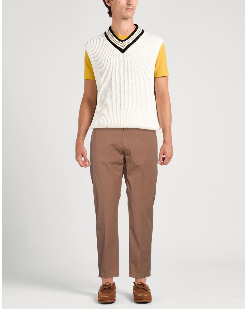 Alpha Studio Brown Trouser for men