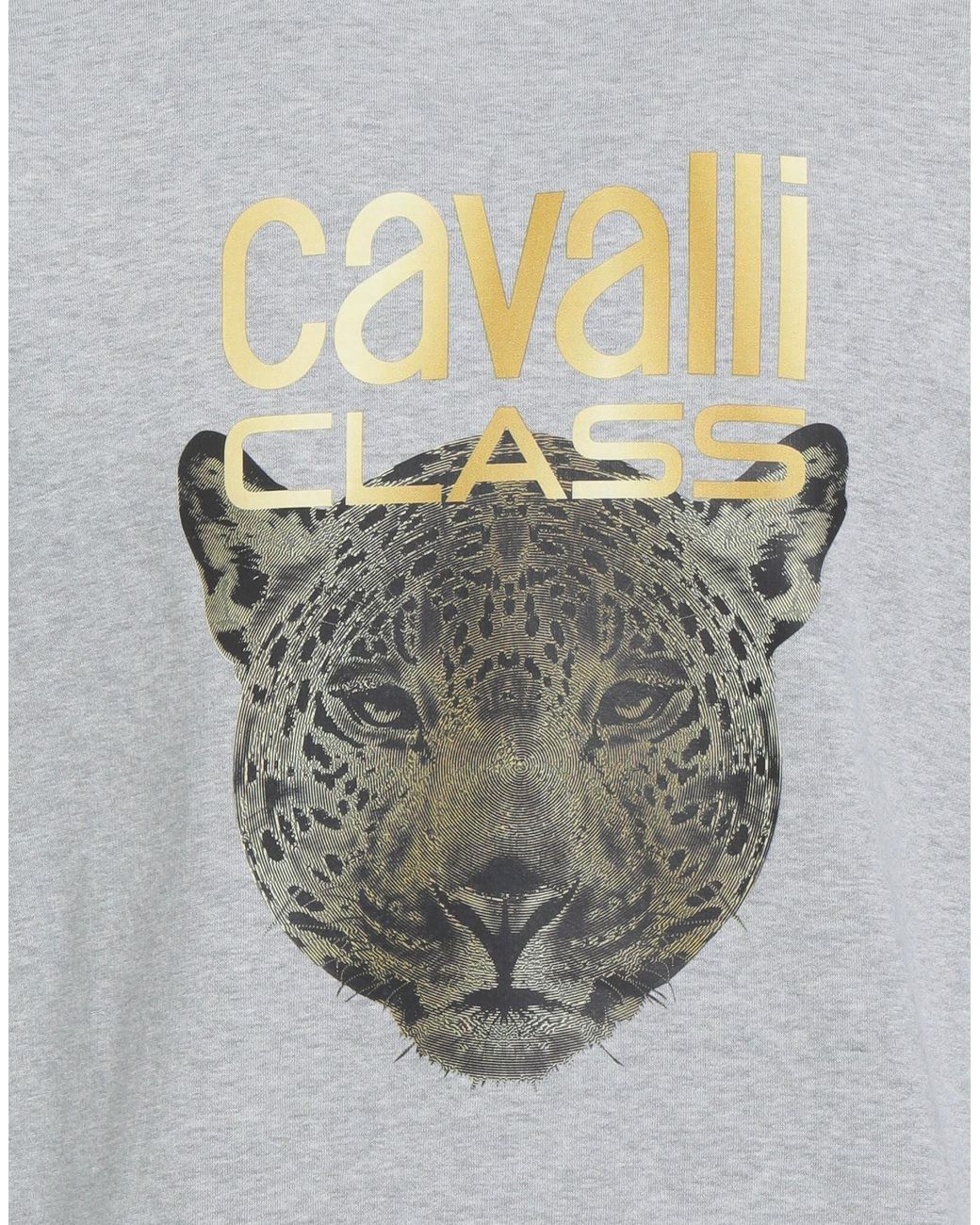 Roberto Cavalli Gray Sweatshirt for men