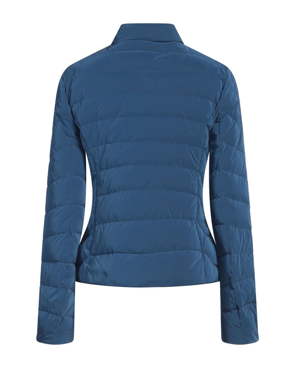 Moorer Blue Puffer