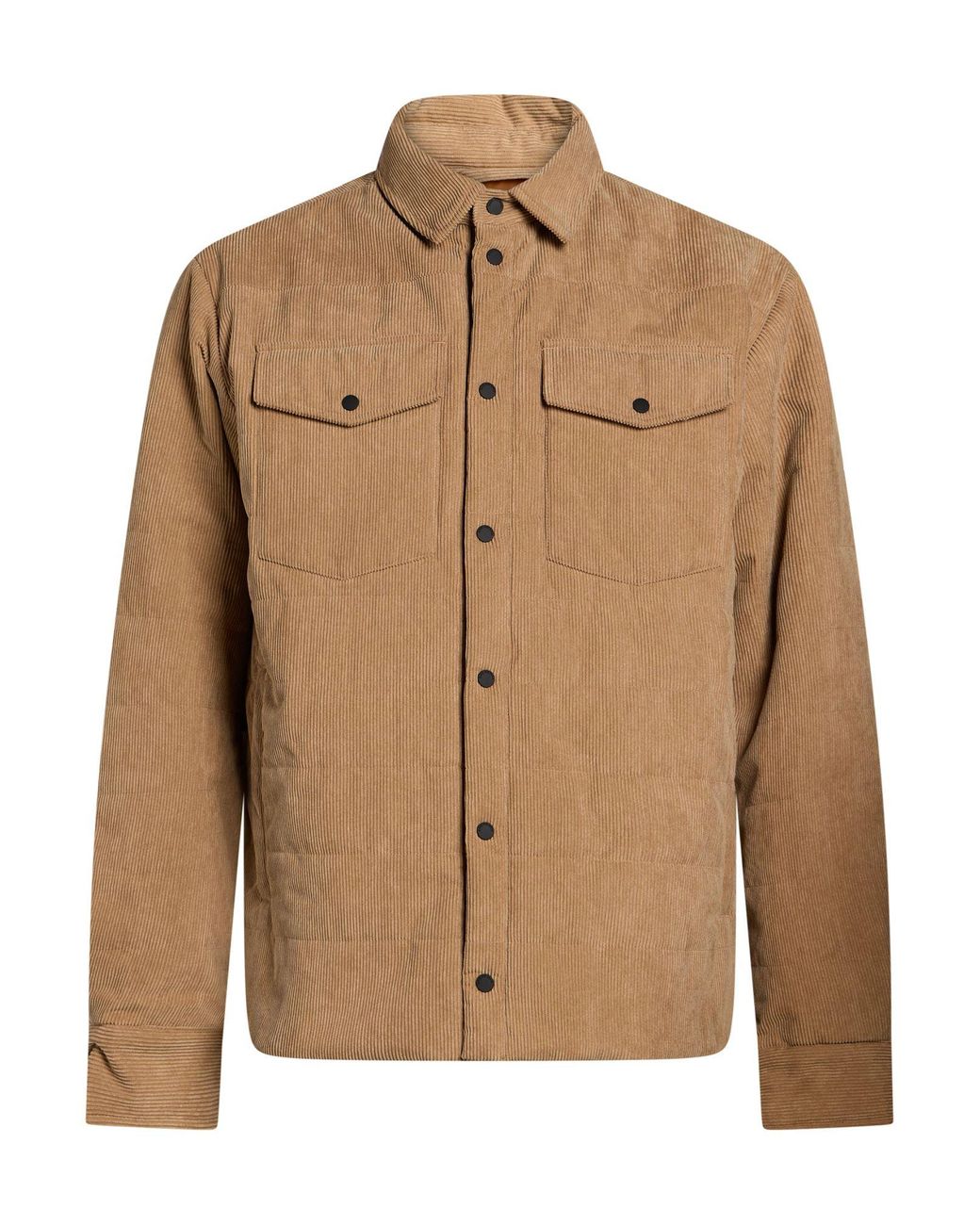 Save The Duck Brown Jacket for men