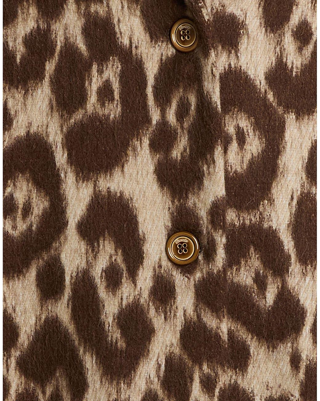 Drumohr Brown Coat Virgin Wool, Alpaca Wool, Elastane