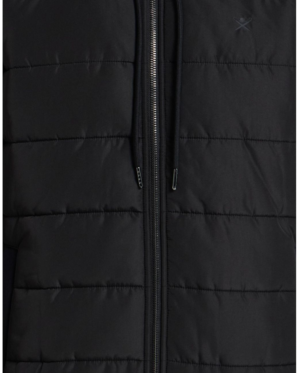 Hackett Black Puffer for men