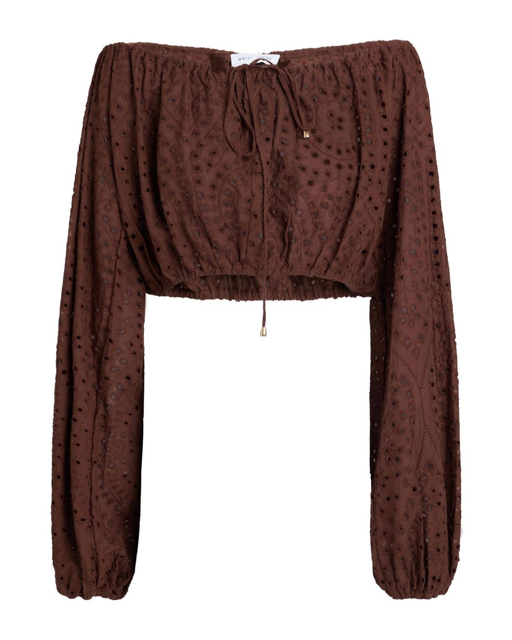 WEILI ZHENG Brown Top