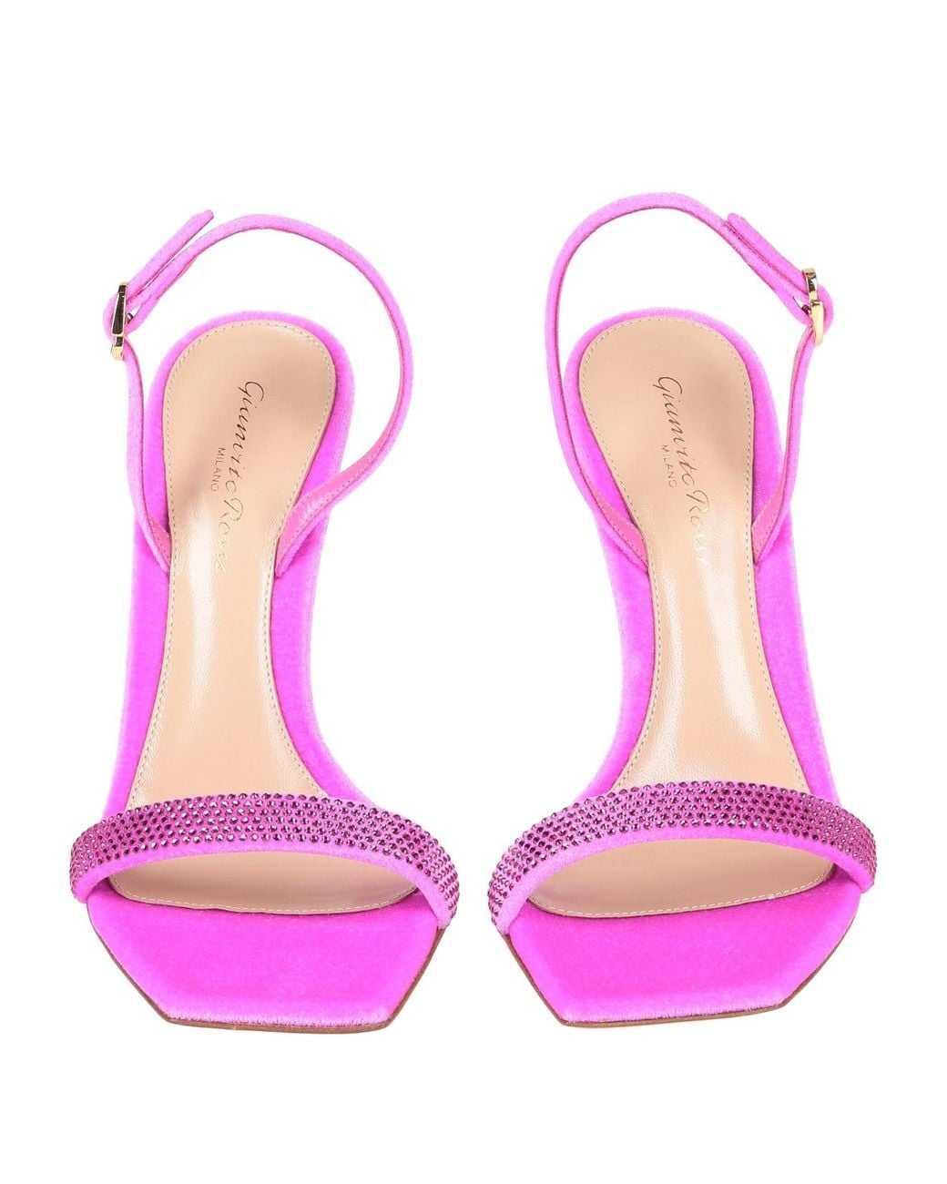 Gianvito Rossi Pink Sandals