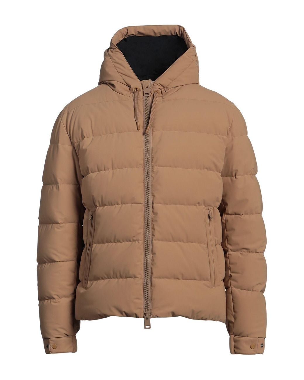 Herno Brown Puffer Polyamide, Elastane for men