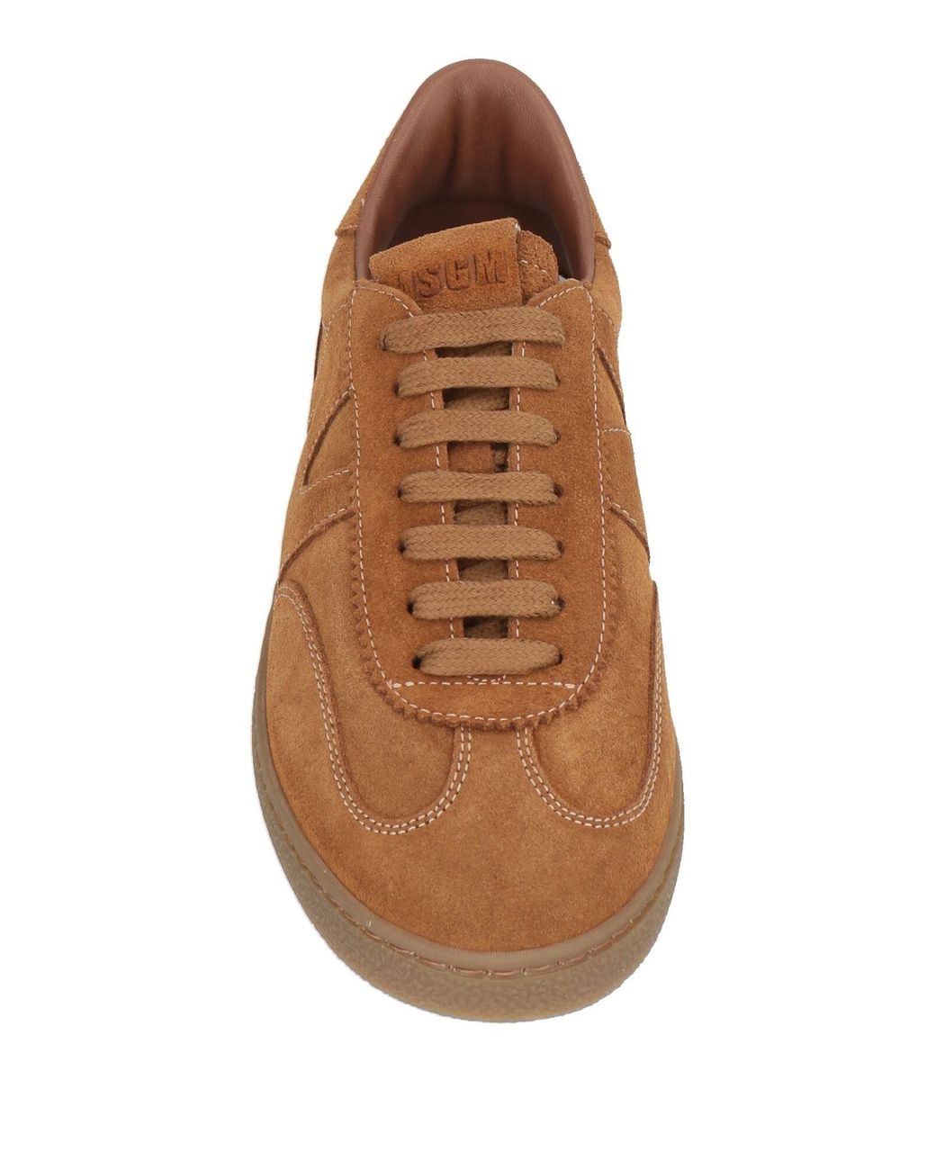 MSGM Brown Sneakers Leather