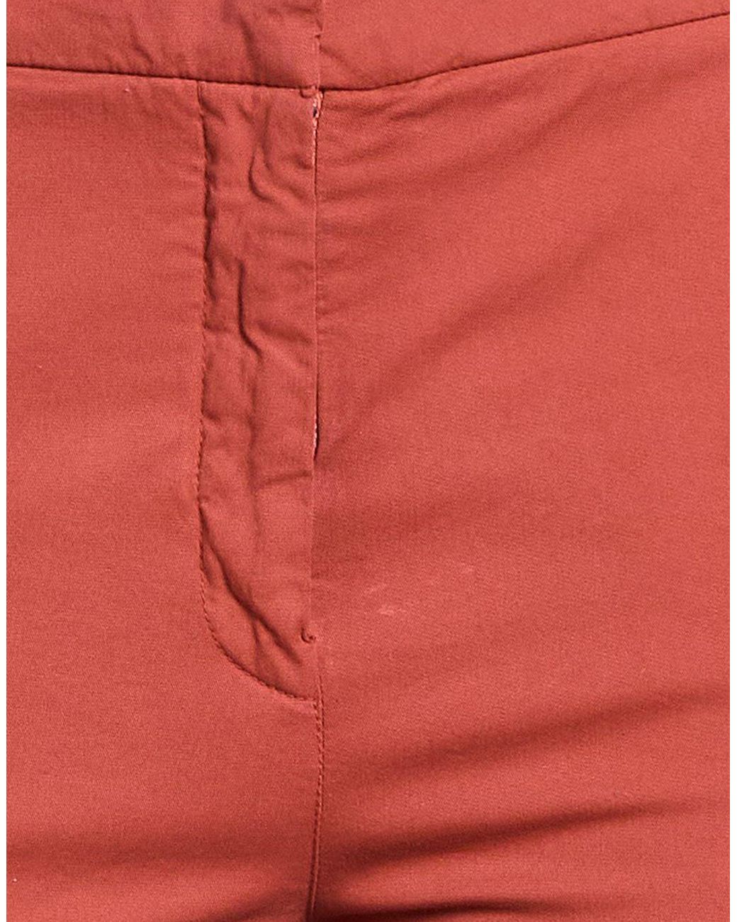 Antonelli Red Pants Cotton, Elastane