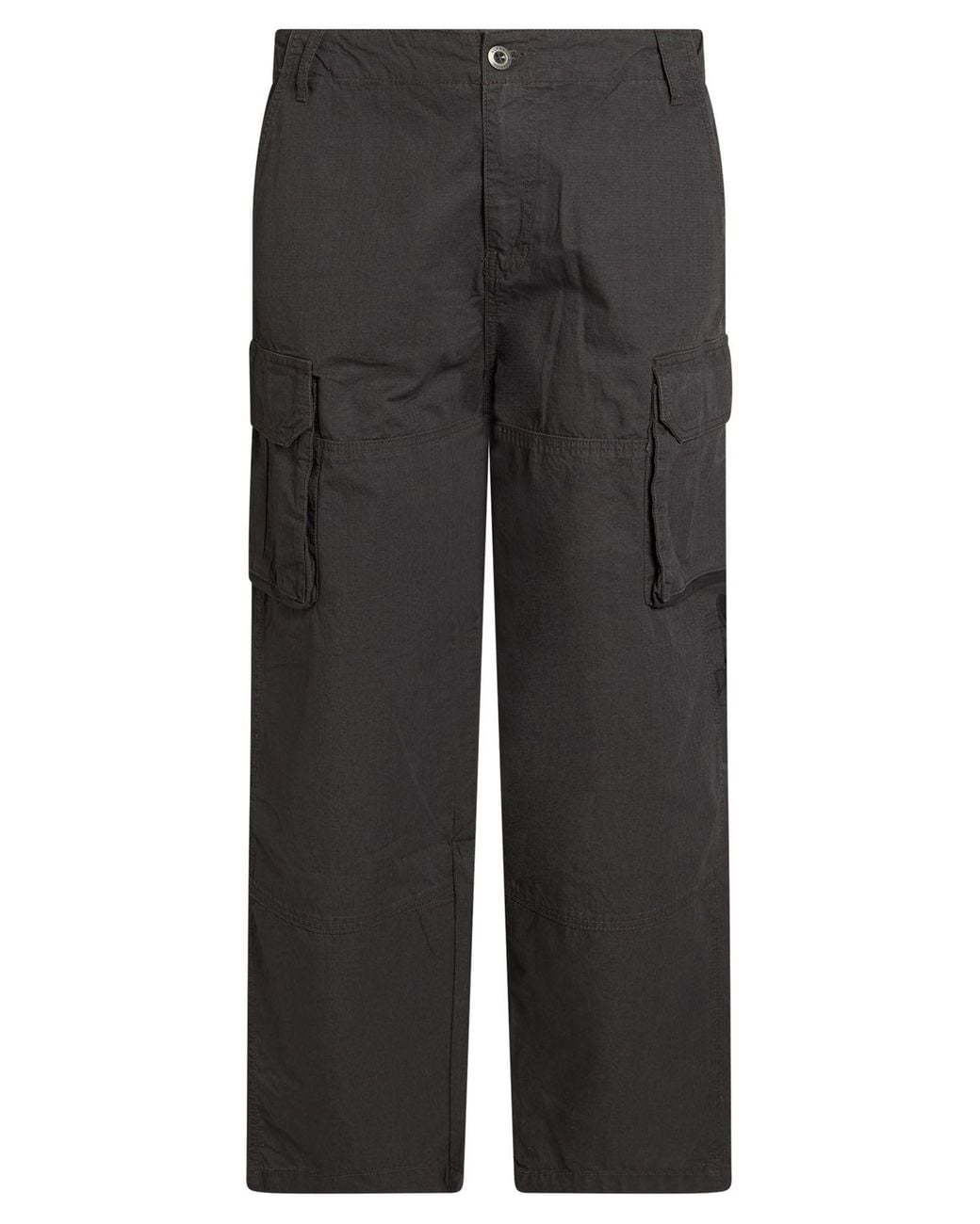 Alpha Industries Gray Trouser for men