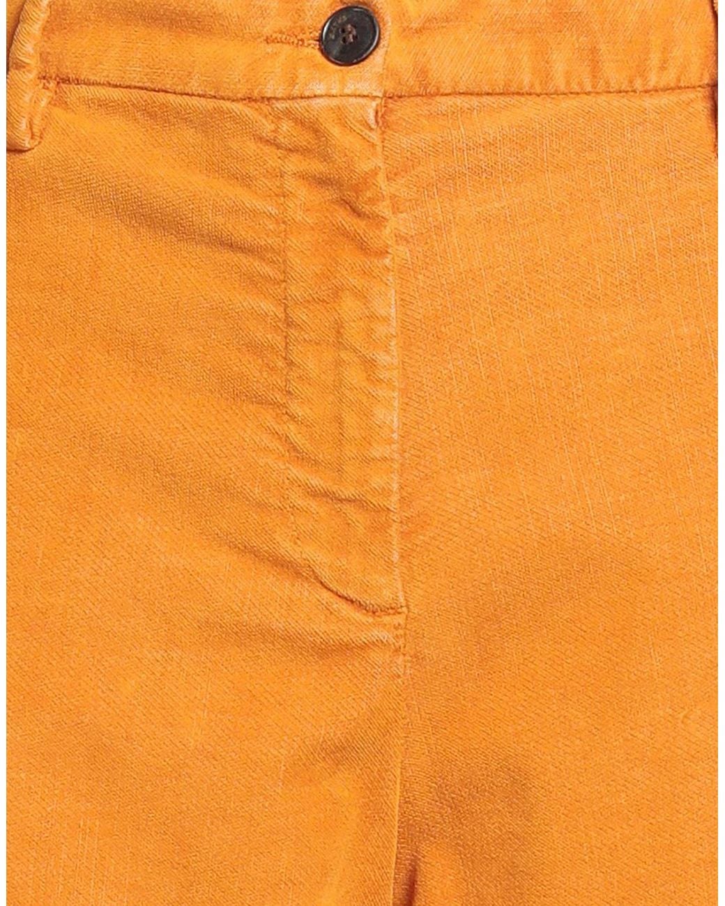 Myths Orange Pants Cotton, Polyester, Elastane