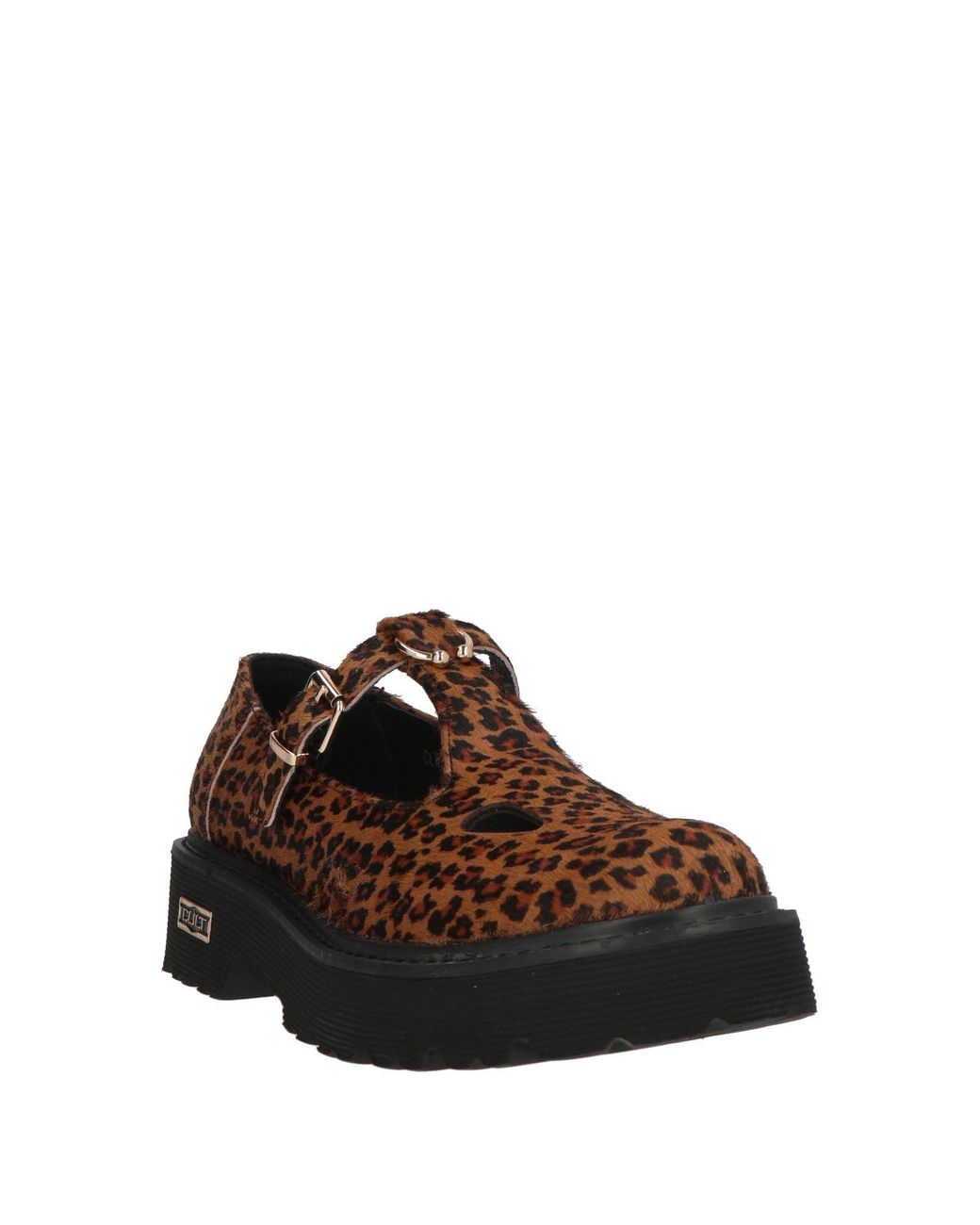 Cult Brown Ballet Flats