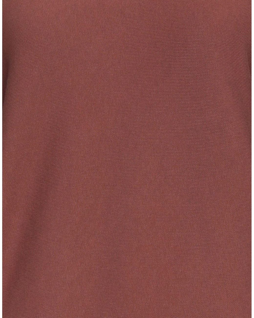 Champion Brown Sweatshirt