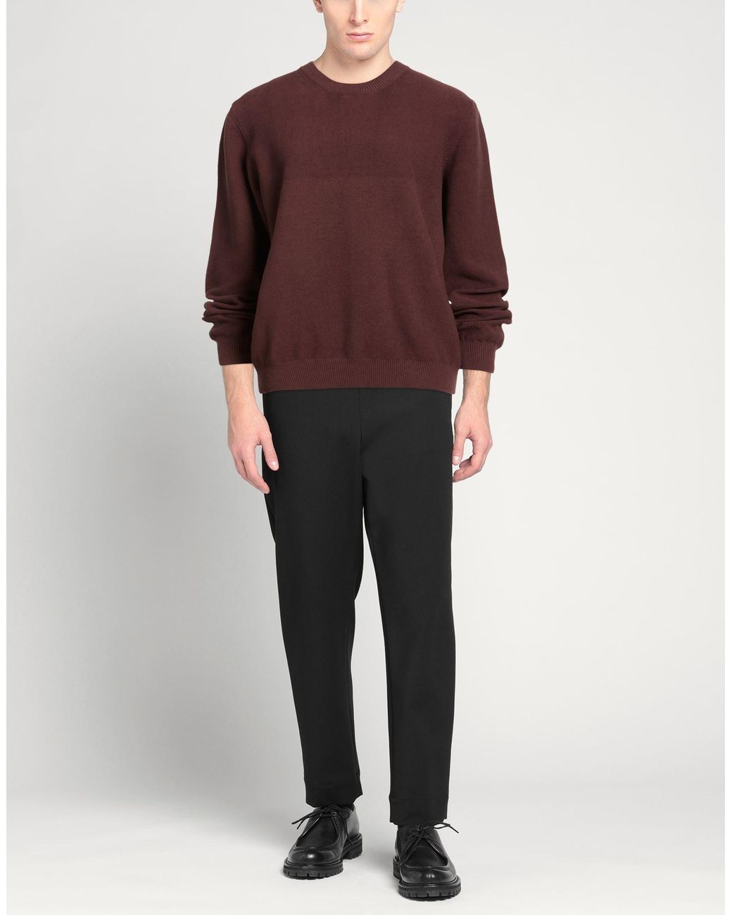 Alpha Studio Brown Jumper for men