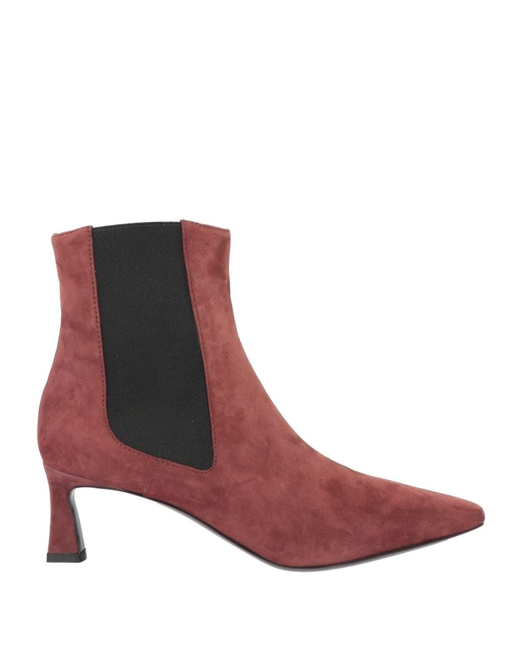 Bottines Pollini en coloris Brown