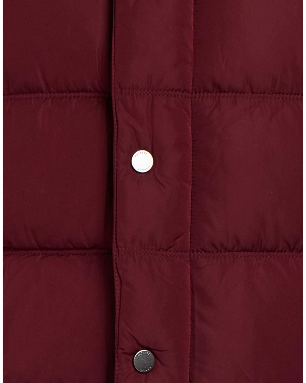 Hackett Purple Vests for men