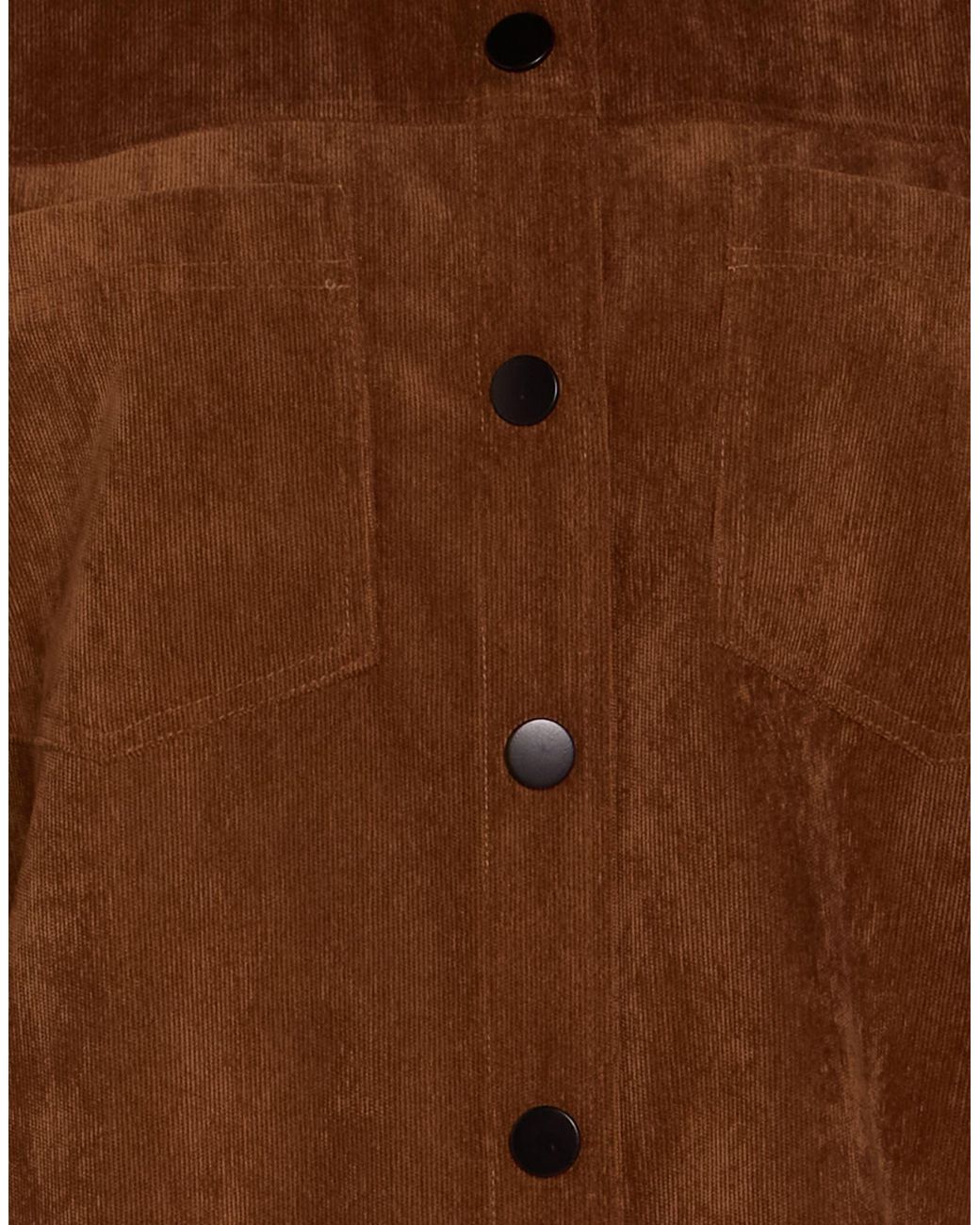 Shirtaporter Brown Co-Ord Polyester, Nylon, Elastane