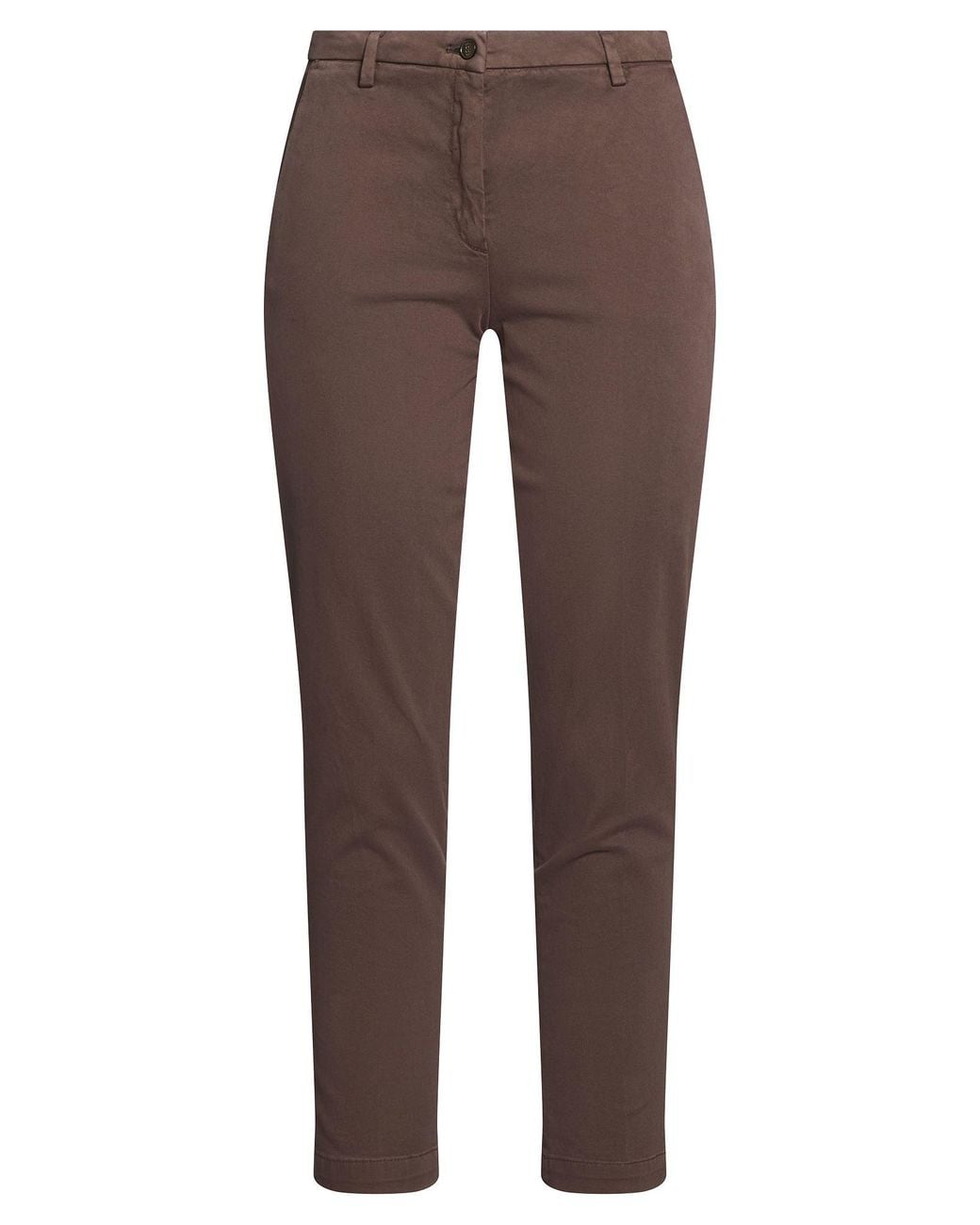 Briglia 1949 Brown Pants Cotton, Elastane