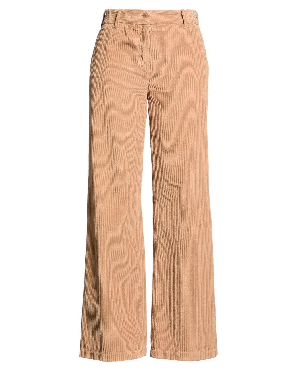 True Royal Natural Pants Cotton, Elastane