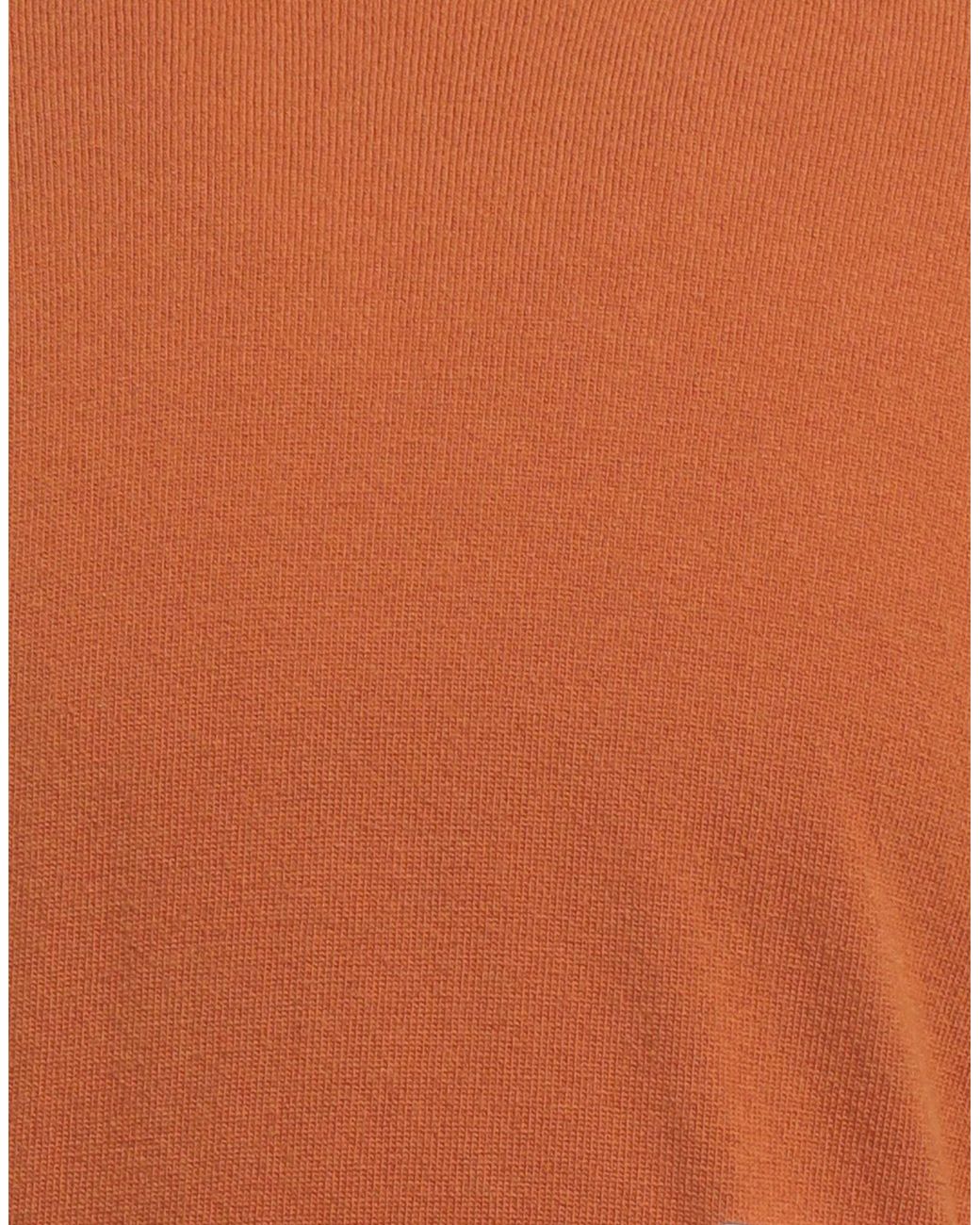 Amaranto Brown Turtleneck for men