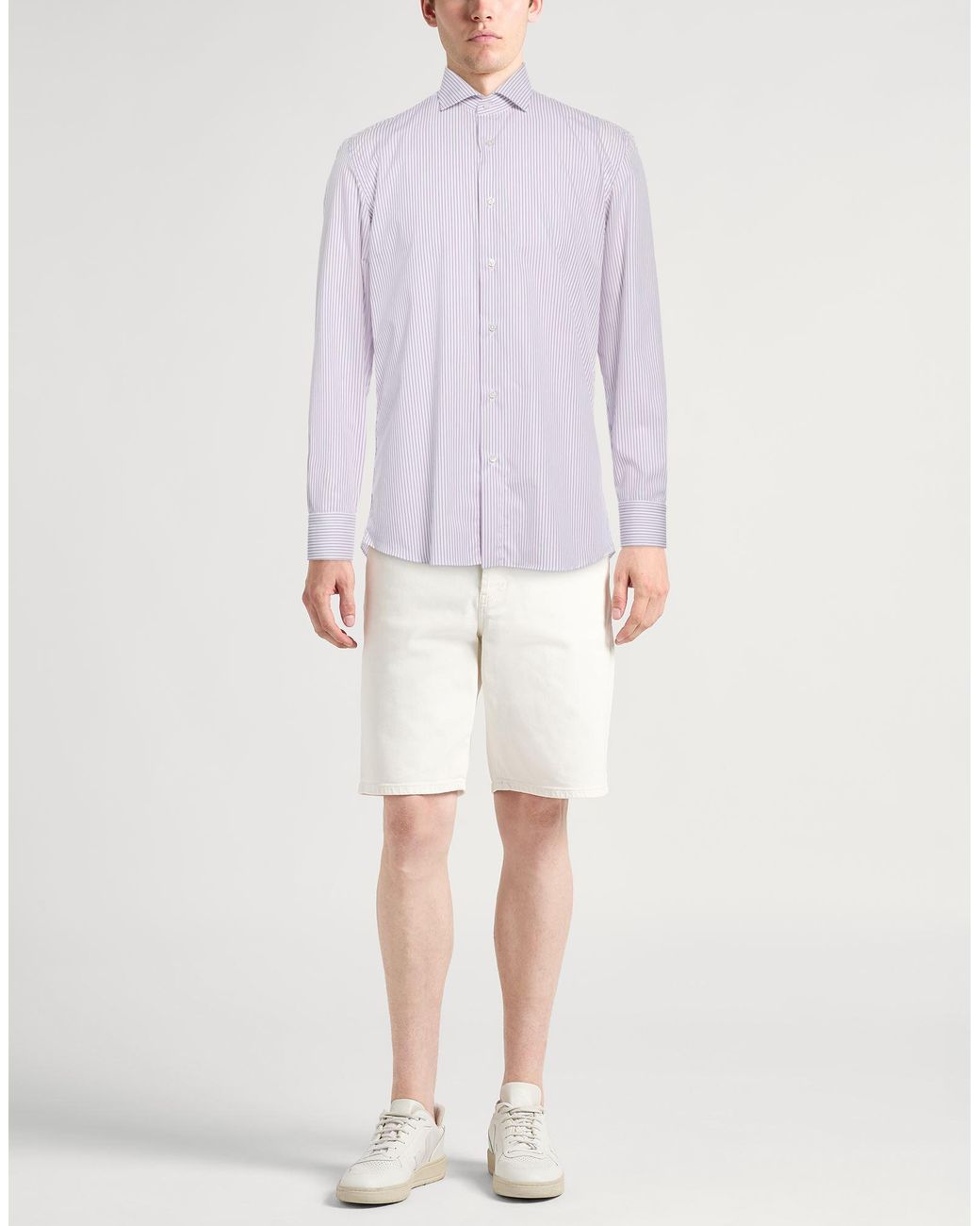 Caruso Purple Shirt Cotton for men