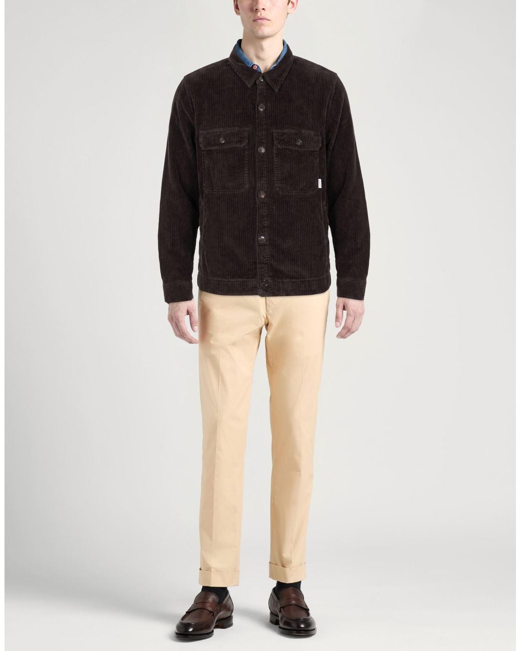 Crossley Black Jacket Cotton, Elastane for men