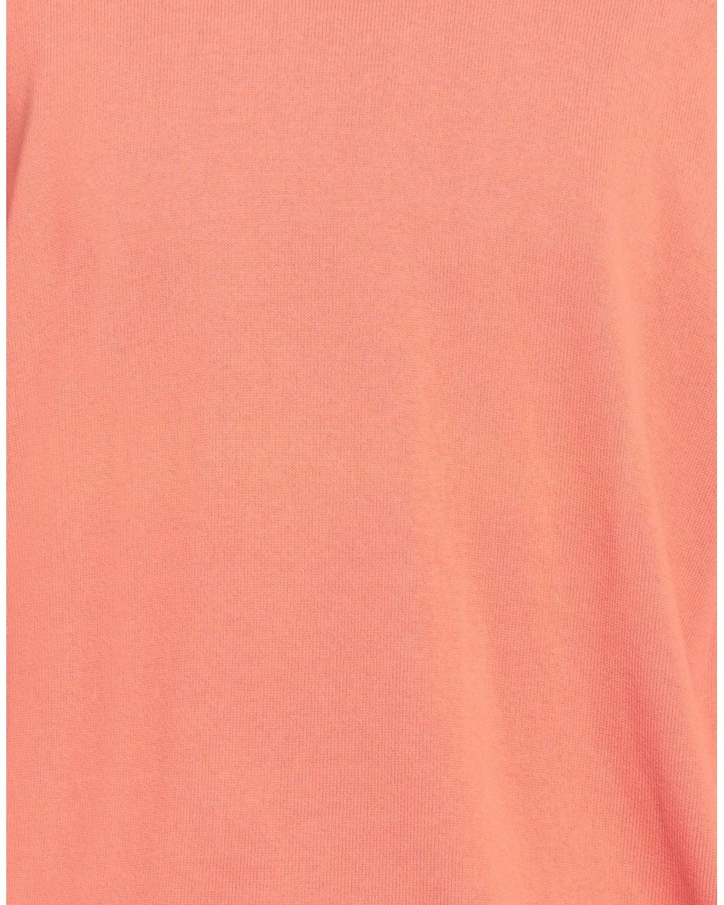 Paul & Shark Pink Sweater for men
