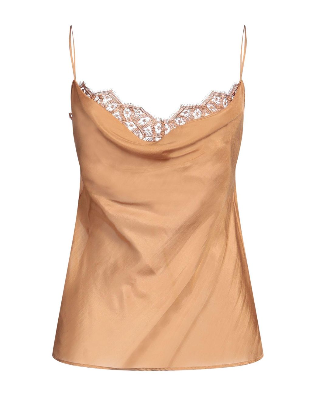 Alberta Ferretti Brown Top