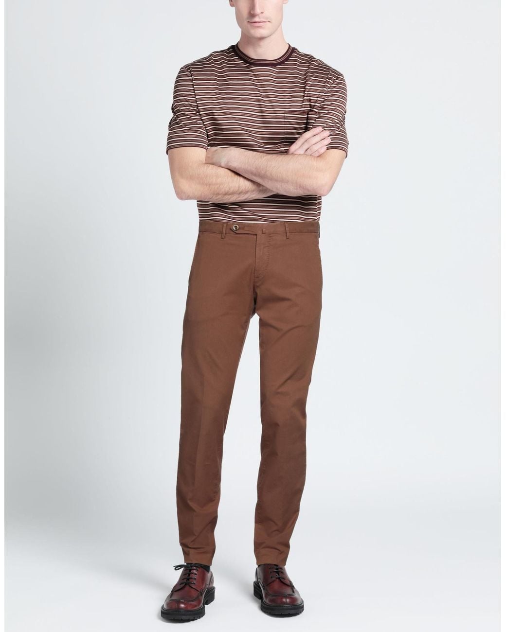 PT Torino Brown Trouser for men