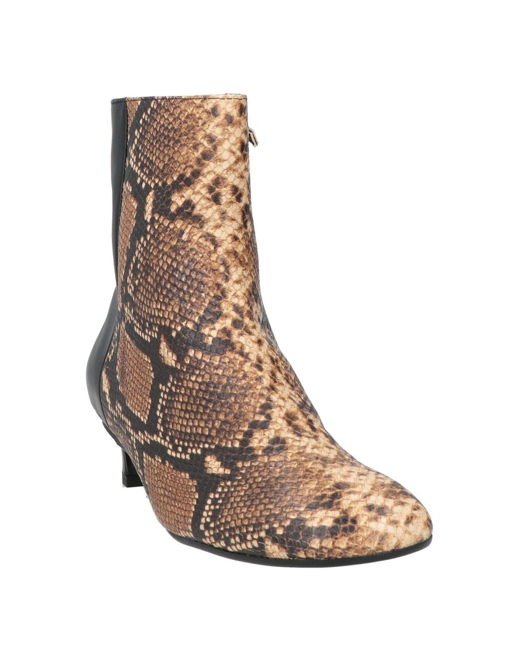 Castaner Brown Stiefelette
